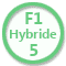 Cannabis Seeds Royal Queen Seeds F1 Hybrids 100% (5) order at Hipersemillas