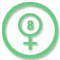 Cannabis Seeds Dr. Underground Seeds Feminized seeds (8) order at Hipersemillas