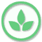 Aromáticas