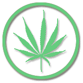 Sativa
