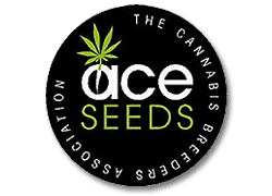Ace seeds - semillas de cannabis regulares, feminizadas