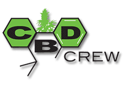 CBD Crew - semillas de cannabis medicinal - feminizadas con un nivel alto de CBD