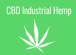 Comprar Semillas de Cannabis CBD Cañamo Industrial en Hipersemillas