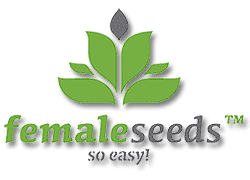 Female Seeds - semillas de cannabis comprar online