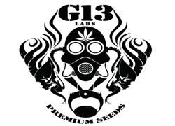 G13 Labs