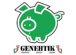 Genehtik Seeds