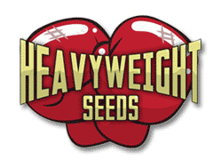 Heavyweight Seeds