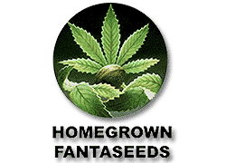 Homegrown Fantaseeds