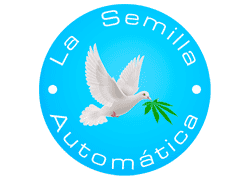 La Semilla Automatica
