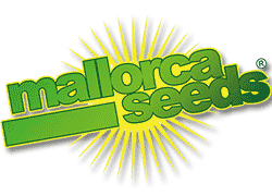 Mallorca Seeds - semillas de cannabis feminizadas, autoflorecientes comprar online