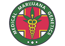 Medical Marijuana Genetics