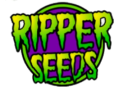 Comprar Semillas de Cannabis Ripper Seeds en Hipersemillas