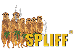 Spliff Seeds