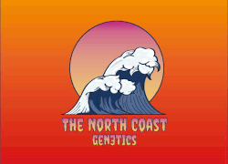 Comprar Semillas de Cannabis The North Coast Genetics en Hipersemillas