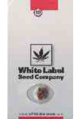 Comprar White Haze AUTO 100% (3) en Hipersemillas