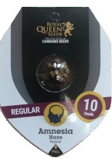 Comprar Shining Silver Haze Reg. en Hipersemillas