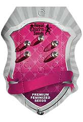 Comprar Chocolate Haze 100% (5) en Hipersemillas