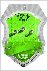 Amnesia Haze Auto 100% (3) order at Hipersemillas