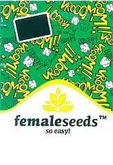 SexBud 100% (4) order at Hipersemillas