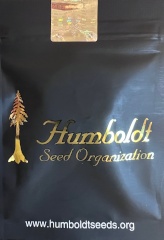 Comprar Amherst Sour Diesel 100% (3) en Hipersemillas