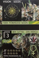 Doctor Jamaica Auto 100% (3) order at Hipersemillas