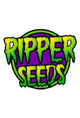 Compre Zombie Kush S1 100% (3) em Hipersemillas