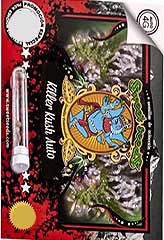 Killer Kush AUTO 100% (100) *** order at Hipersemillas
