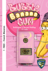 Comprar BubbleBananaGum 100% (6) en Hipersemillas