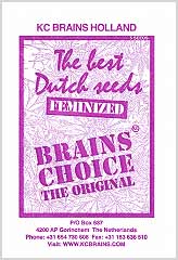 Comprar Brains Choice 100% en Hipersemillas