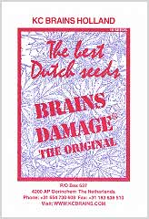 Comprar Brains Damage (5) en Hipersemillas