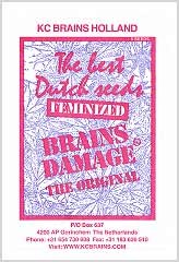 Comprar Brains Damage 100% en Hipersemillas