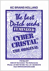 Comprar Cyber Cristal 100% en Hipersemillas