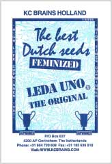 Comprar Leda Uno 100% en Hipersemillas