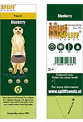 Comprar Blue Berry en Hipersemillas