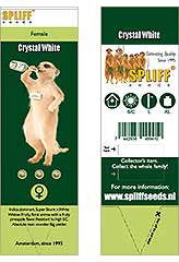 Acheter Crystal White 100% (3) à Hipersemillas