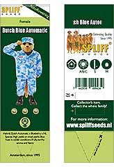Dutch Blue Automatic 100% (3) order at Hipersemillas