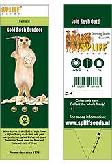 Comprar Gold Rush Outdoor 100% (3) en Hipersemillas