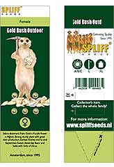 Gold Rush Outdoor 100% (5) order at Hipersemillas
