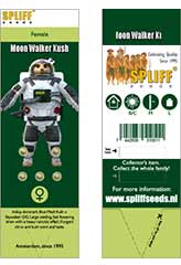 Compre Moon Walker Kush 100% (5) em Hipersemillas
