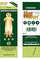 Spliff Cheese Automatic 100% (5) order at Hipersemillas