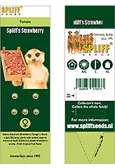 Compre Spliff's Strawberry 100% (5) em Hipersemillas
