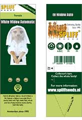 Acheter White Widow Auto 100% (3) à Hipersemillas