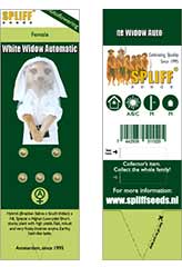 Compre White Widow Auto 100% (5) em Hipersemillas