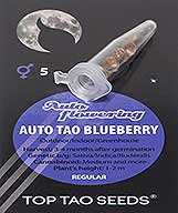 Auto Tao Blueberry (5) order at Hipersemillas