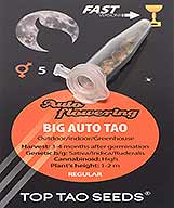 Big Auto Tao (5) order at Hipersemillas