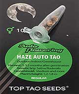 Haze Auto Tao (10) order at Hipersemillas