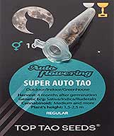 Comprar Super Auto Tao (10) en Hipersemillas