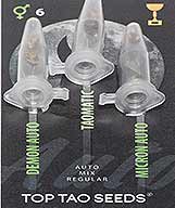 Comprar Auto Mix (6) en Hipersemillas