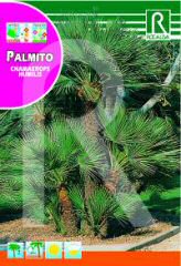 Comprar Palmito en Hipersemillas