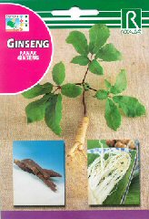 Compre Ginseng em Hipersemillas